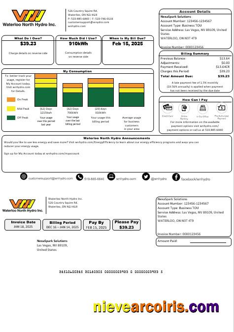 USA Nevada Waterloo North Hydro business utility bill